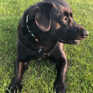 Meet your Posher, Mindy